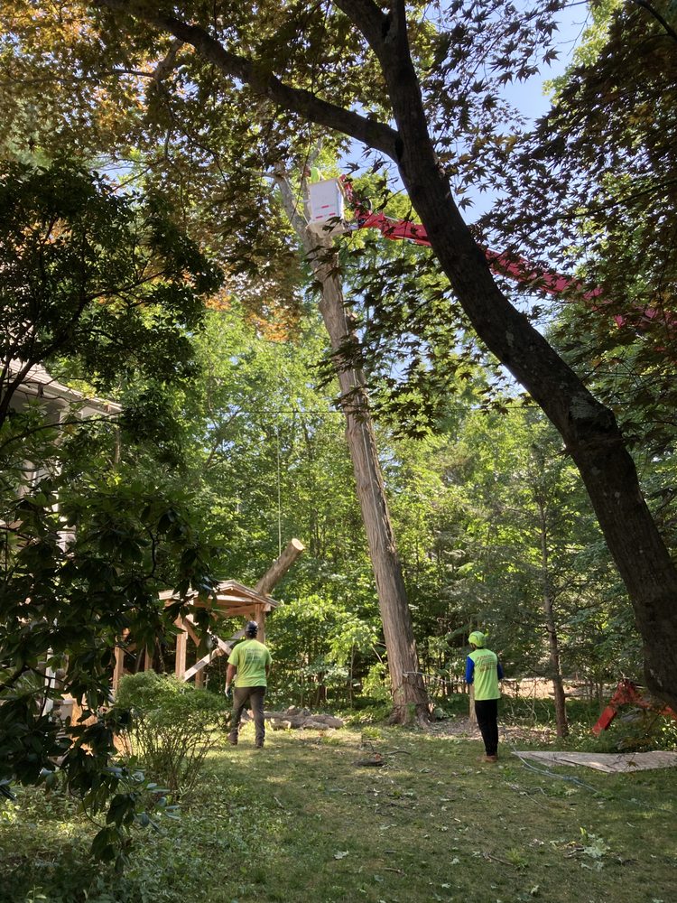 American Landscaping & Tree Service - tree service in West Hartford, CT