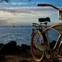 Photo of Need A Bike