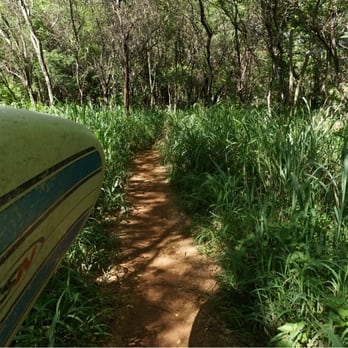 Adventures In Paradise Activities - Surfboard rentals? You bet! Walking through a small trail to arrive at a beautiful surf spot. - Tours Near Me Adventures In Paradise Activities - Surfboard rentals? You bet! Walking through a small trail to arrive at a beautiful surf spot. - Tours Near Me