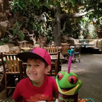 Rainforest Cafe - Rainforest - American Near Me - Ontario, California