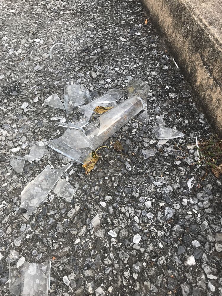 WASTE MANAGEMENT Updated August 2024 230 Wohlsen Way, Lancaster, Pennsylvania Junk Removal