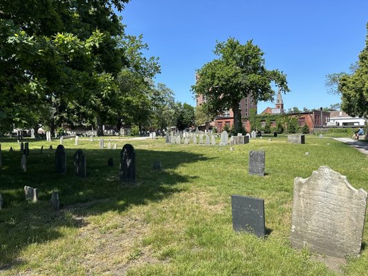 The Burying Point by null