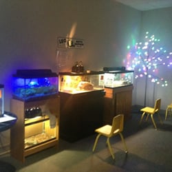 Mack's Family Entertainment & Sports Center - Turtle, tarantula, fish, etc