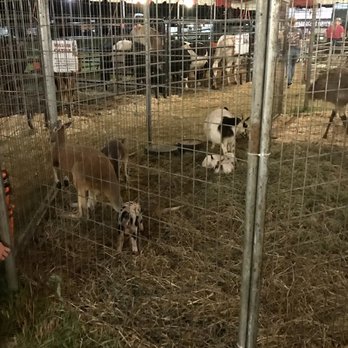 Hardin County Fair Grounds - Petting zoo - Festivals Near Me - Glendale, Kentucky Hardin County Fair Grounds - Petting zoo - Festivals Near Me - Glendale, Kentucky