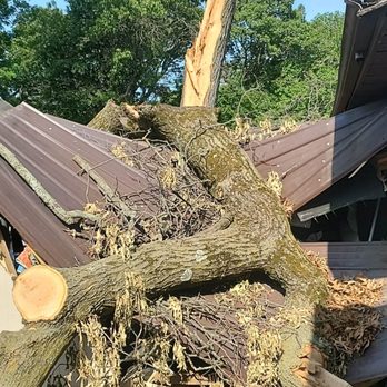 Smiths Tree Slayers - Tree Services Near Me Smiths Tree Slayers - Tree Services Near Me