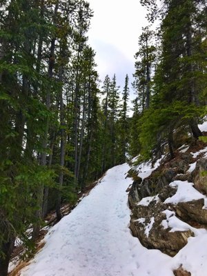Sulphur Mountain by null