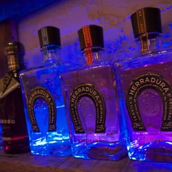 Blue Agave - Tequilas