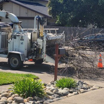 Rod's Tree Service - Jose.and his crew - Tree Services Near Me - Carmichael, California Rod's Tree Service - Jose.and his crew - Tree Services Near Me - Carmichael, California
