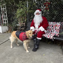 Town & Country Veterinary Hospital - 12/20/24: Lola with Santa Claus!