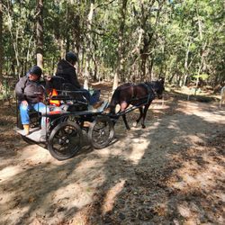 Johns Island County Park