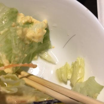 Nagoya - Sadly, I found a rogue hair in my salad. - Japanese Near Me - Howell, New Jersey
