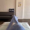 Feet Paradise Reflexology gift card