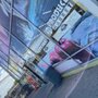 Photo of J's Produce Market