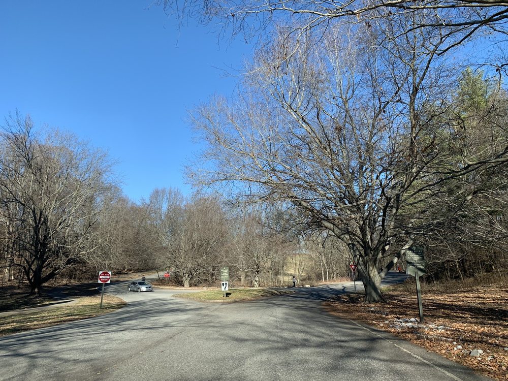 Cherokee Park 313 Photos & 135 Reviews Parks Willow Ave And