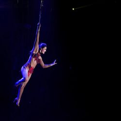Flip Circus