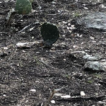 River Place Nature Trail - Hiking Near Me - Austin, Texas