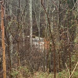 Jenkins-Gibbs Nature Trail