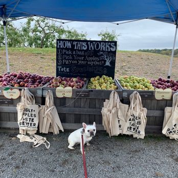 Twin Star Orchards - Apples! - Pizza Near Me - New Paltz, New York