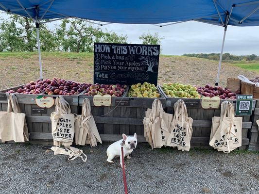 Twin Star Orchards by null