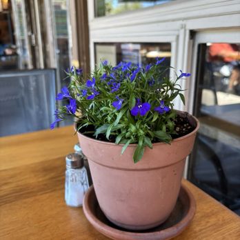 Trailside Cafe & Beer Garden - Cute! - Cafes Near Me - Carmel Valley, California Trailside Cafe & Beer Garden - Cute! - Cafes Near Me - Carmel Valley, California