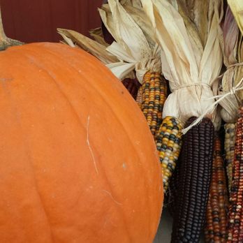 Hilltop Orchards - Autumn at the farm - Wine Tasting Room Near Me - Richmond, Massachusetts