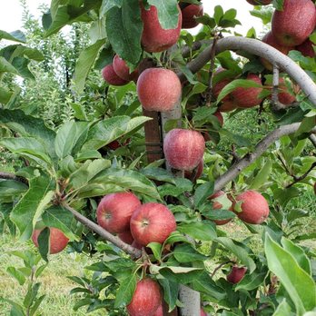 Melick Orchards - Farmers Market Near Me - Califon, New Jersey