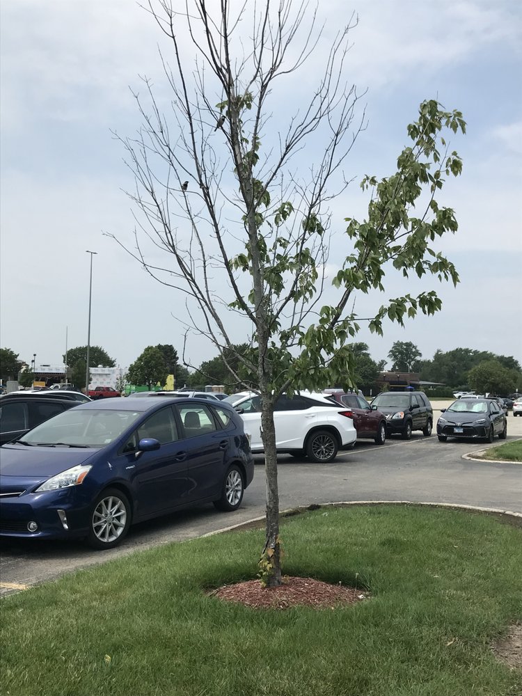 WOODGROVE FESTIVAL SHOPPING PLAZA - 75TH St, Woodridge, IL - Yelp