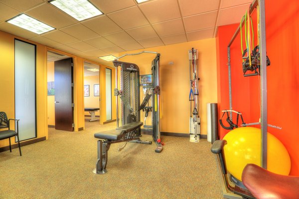 Denver Integrated Spine Center by null