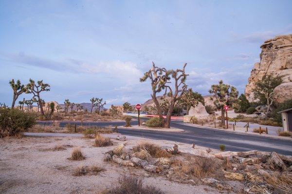 Hidden Valley Campground by null