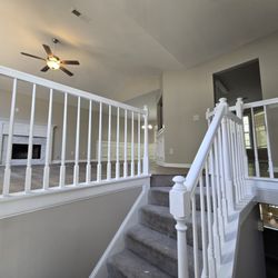 Cataleya Painting Services