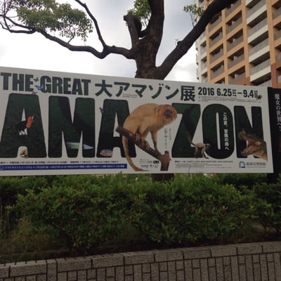 Fukuoka City Museum by null