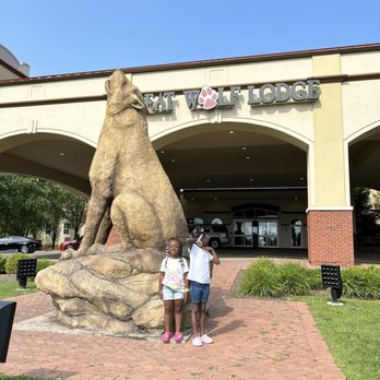 Great Wolf Lodge - Two of my six enjoying to wolf - Water Parks Near Me - Gurnee, Illinois Great Wolf Lodge - Two of my six enjoying to wolf - Water Parks Near Me - Gurnee, Illinois