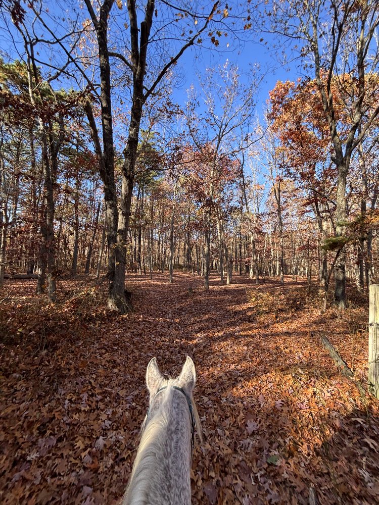 Breezy Meadow Equestrian Centre - equestrian in Howell, NJ