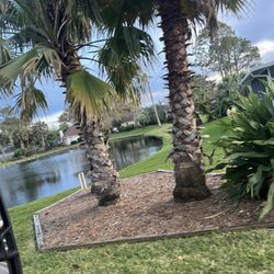 Mike’s Landscaping & Maintenance Services