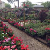 Gardens In A Flowerpot Closed 24 Photos 11 Reviews Gardens In A Flowerpot Closed 24