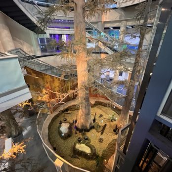 Orlando Science Center - Museums Near Me - Orlando, Florida