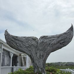 The Beachead