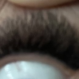 Day 4 after application Day 4 after application