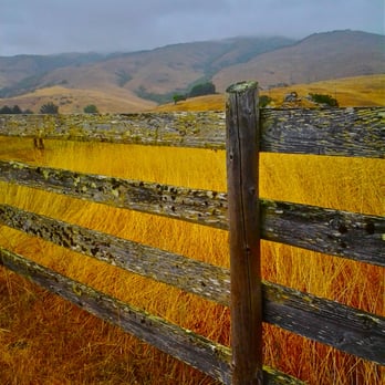 Walker Creek Ranch - Venues & Event Spaces Near Me - Petaluma, California Walker Creek Ranch - Venues & Event Spaces Near Me - Petaluma, California