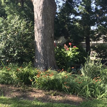 Chesapeake Arboretum - Parks Near Me - Chesapeake, Virginia