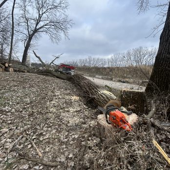 Cutting Edge Tree Service - Tree Services Near Me Cutting Edge Tree Service - Tree Services Near Me