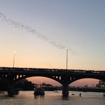 Capital Cruises - Boat Charters Near Me - Austin, Texas