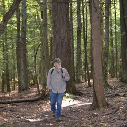 Union River's Big Bear Campground - Hike the winding trails in the old growth forest of the Porcupine Mountains
