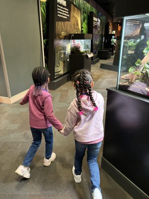 Discovery Place Science by null