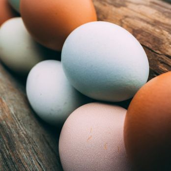 Maranatha Farms - Farm Fresh Eggs - Ranches Near Me - Forest, Virginia Maranatha Farms - Farm Fresh Eggs - Ranches Near Me - Forest, Virginia