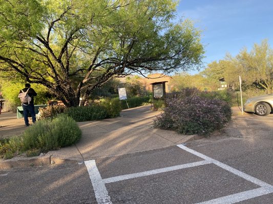 Tohono Chul | Gardens, Galleries, and Bistro by null