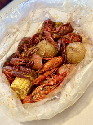 Cajun Window by null