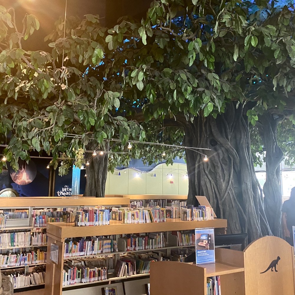 Cerritos Library - Interior! Huge tree - Libraries Near Me - Cerritos, California Cerritos Library - Interior! Huge tree - Libraries Near Me - Cerritos, California