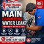 Professional Plumbing