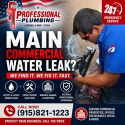Professional Plumbing
